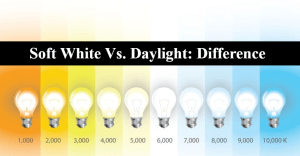 soft white vs daylight