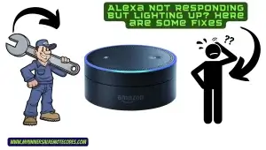 Alexa Not Responding But Lighting Up